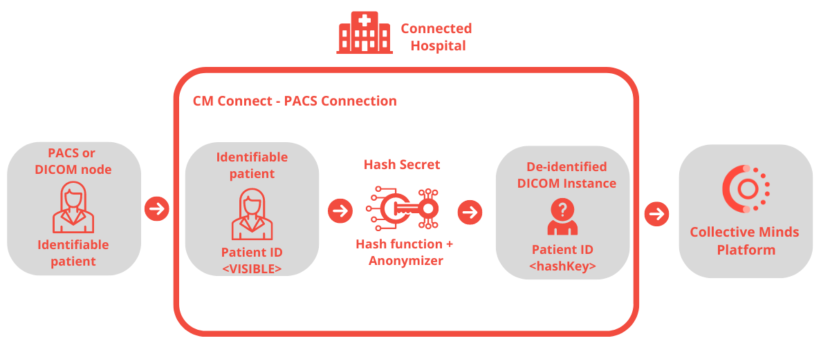 Data Pseudonymization Process