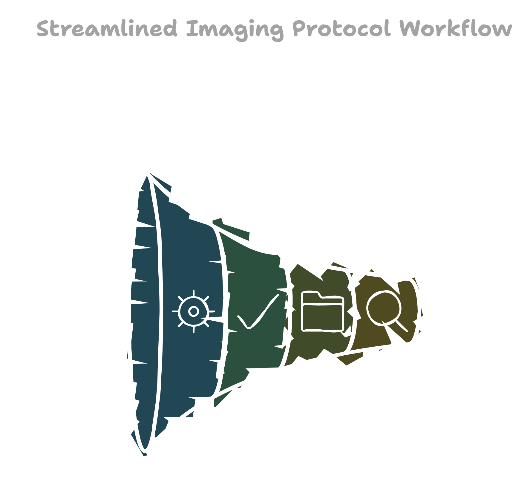 Visual representation of the standardized workflow from image acquisition to analysis